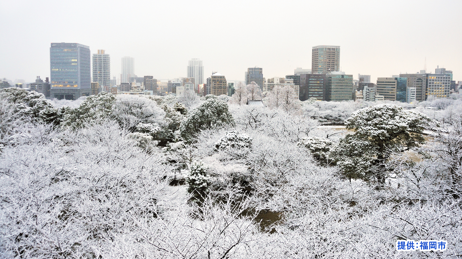 年末年始休業のお知らせ